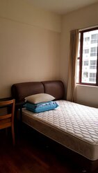 Charleston (D10), Apartment #460005671